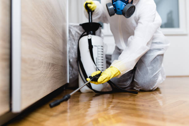 Best Local Pest Control Services  in Hammond, LA