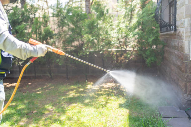 Best Affordable Pest Control Services  in Hammond, LA