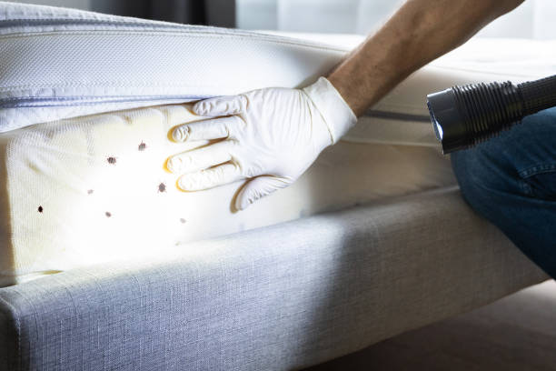 Best Pest Inspection Near Me  in Hammond, LA
