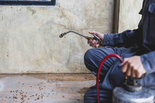 Best Commercial Pest Control Services  in Hammond, LA